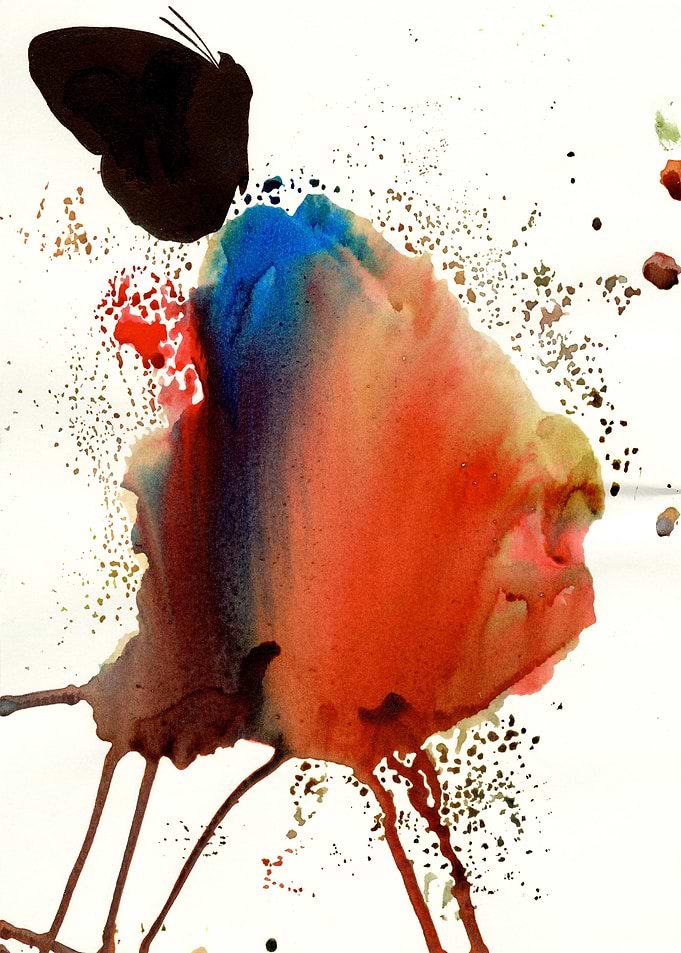 Butterfly Explosion