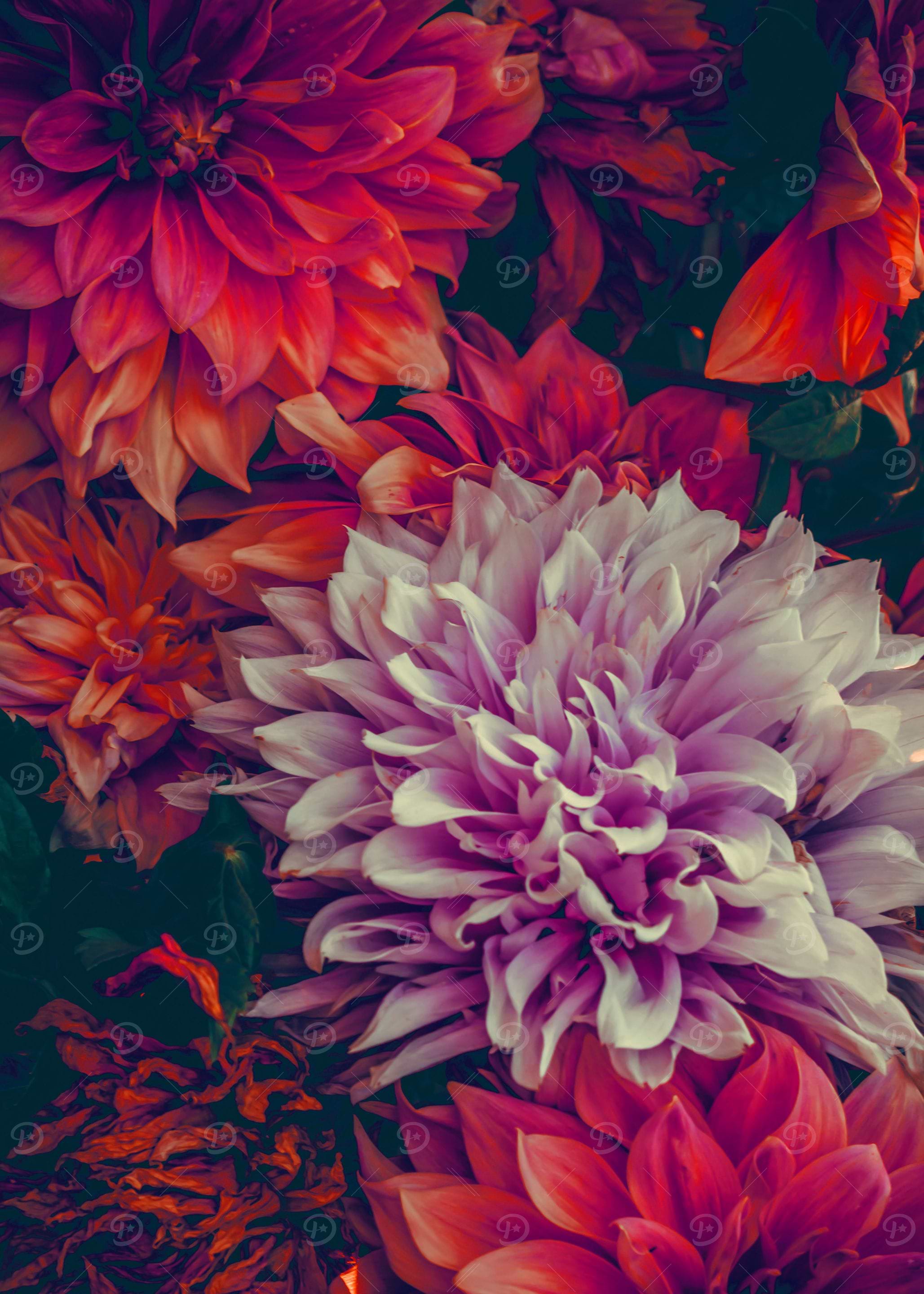 flowers