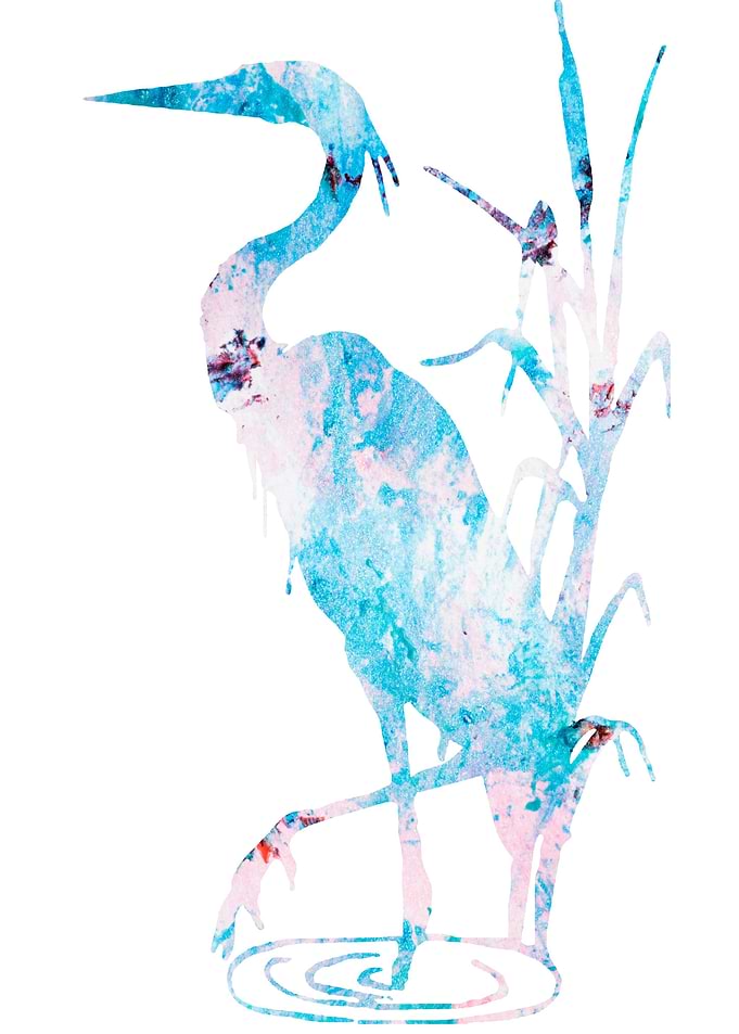 Crane