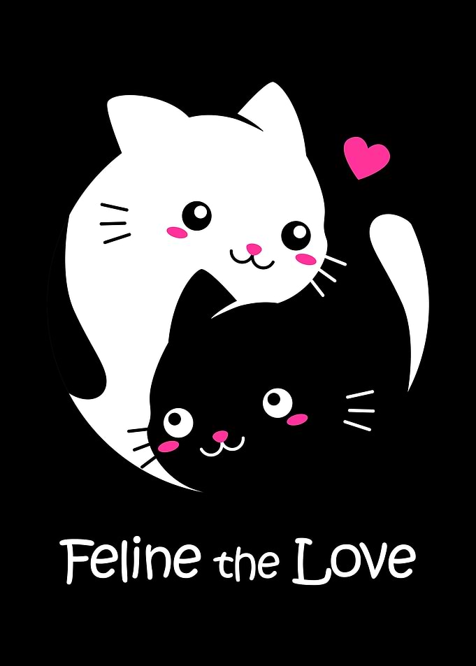 Black and White Love
