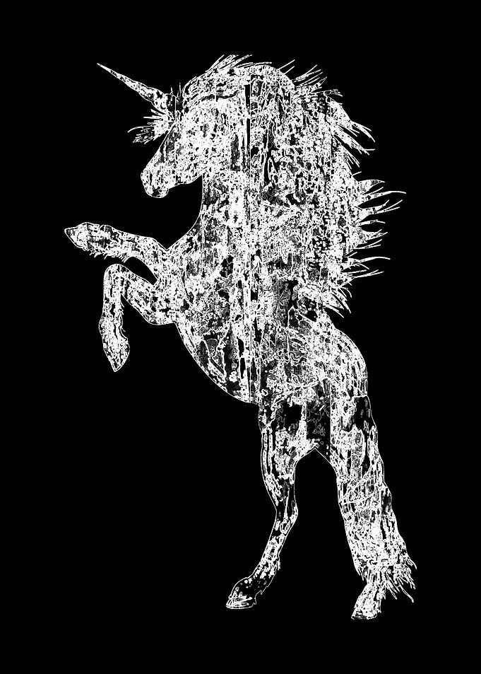 Licorne Noir et Blanc