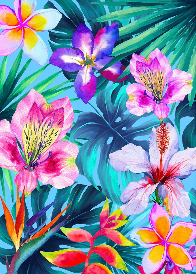 The Tropical Flowers