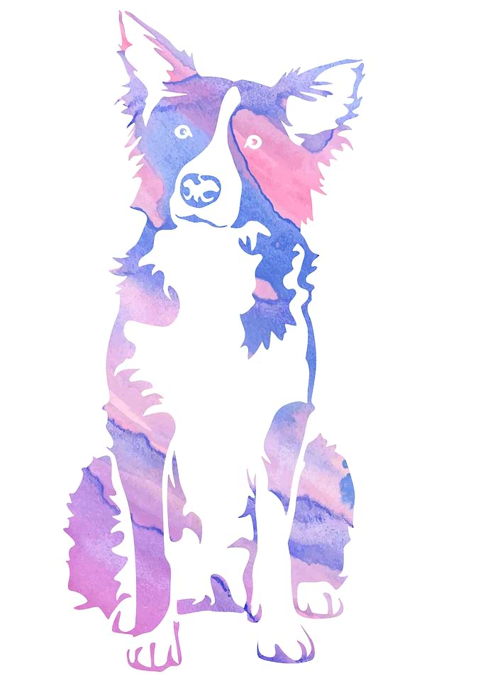 Dog purple
