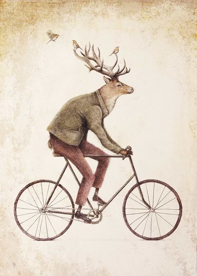Even a Gentleman rides