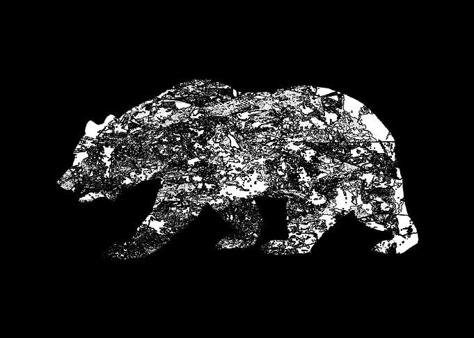 Ours Noir et Blanc