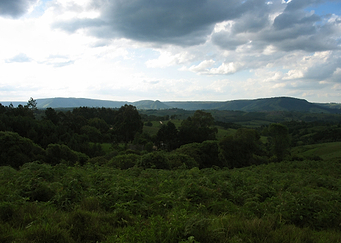 The valley v2