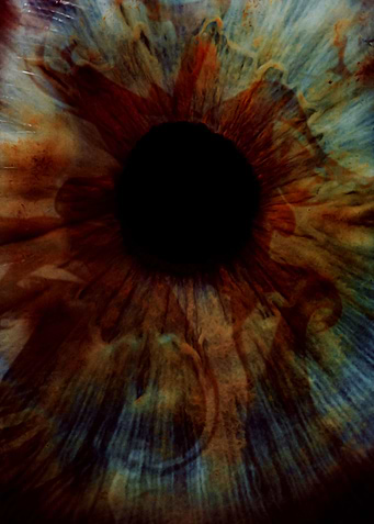 What the eye sees