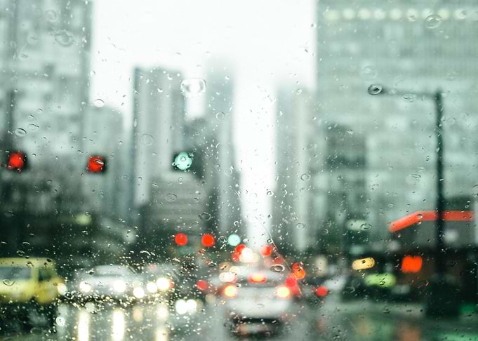 Rainy Windshield
