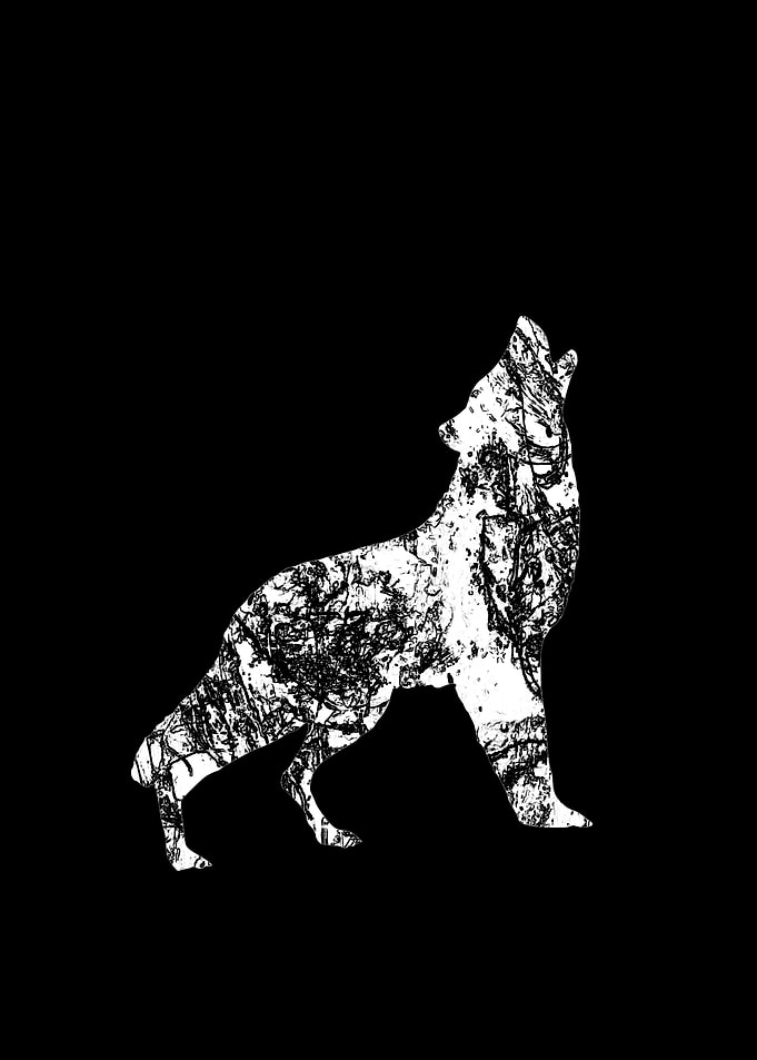 Loup Noir et Blanc