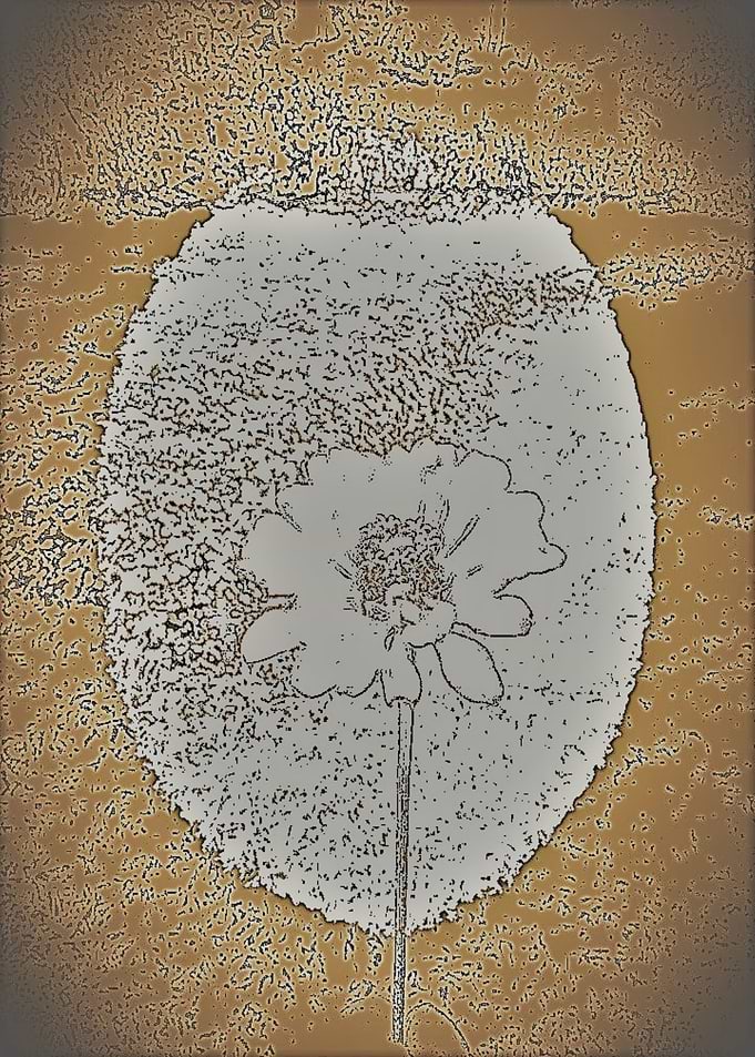 Rusty Metal Flora