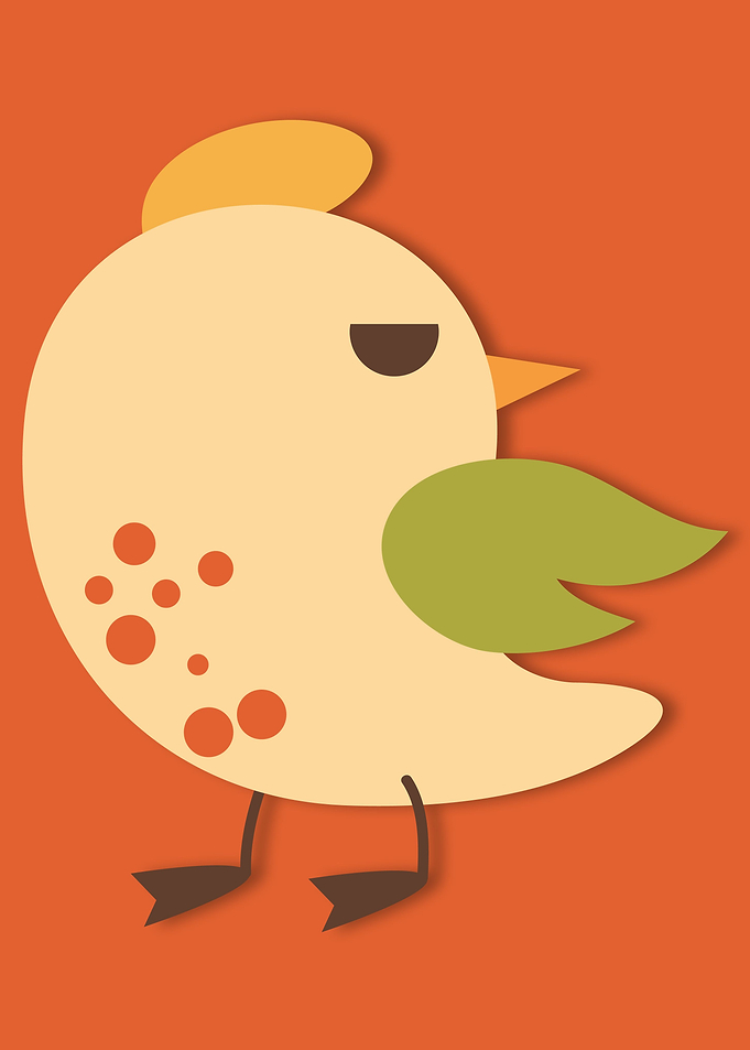 colored bird