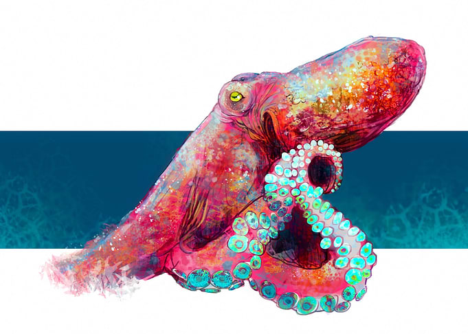 Octopus