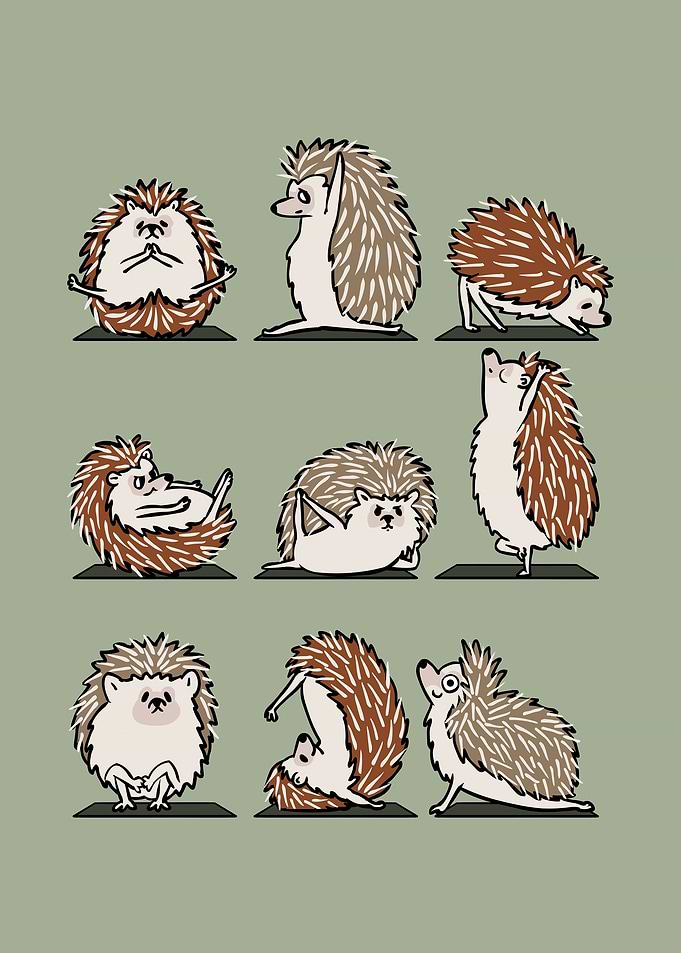 Hedgehog Yoga