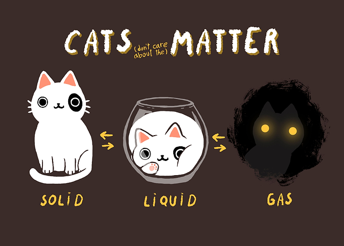 Cat Physics