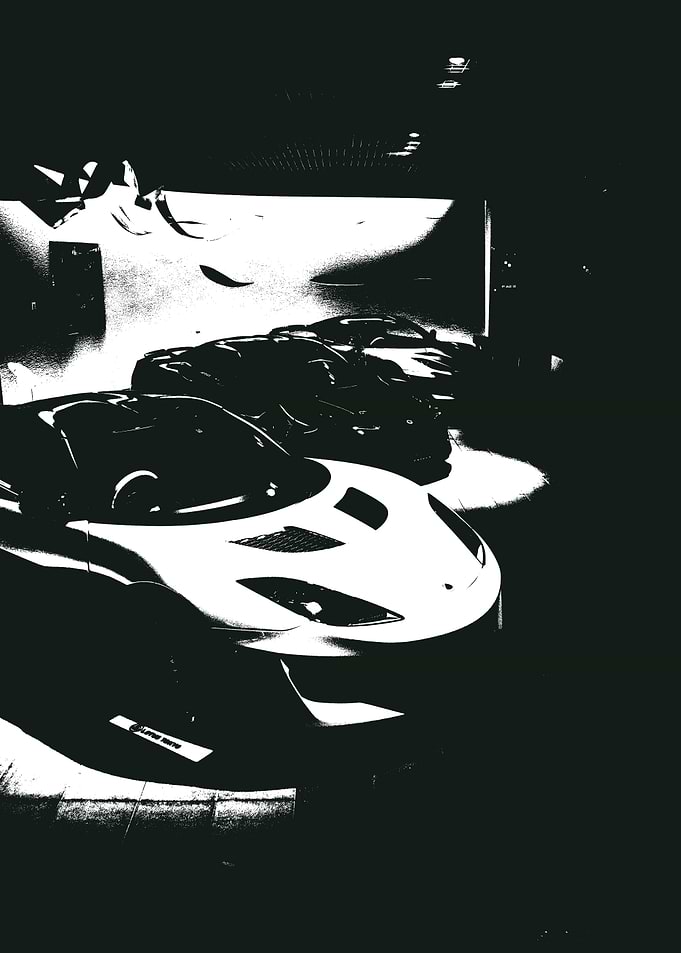Black and White Lotus