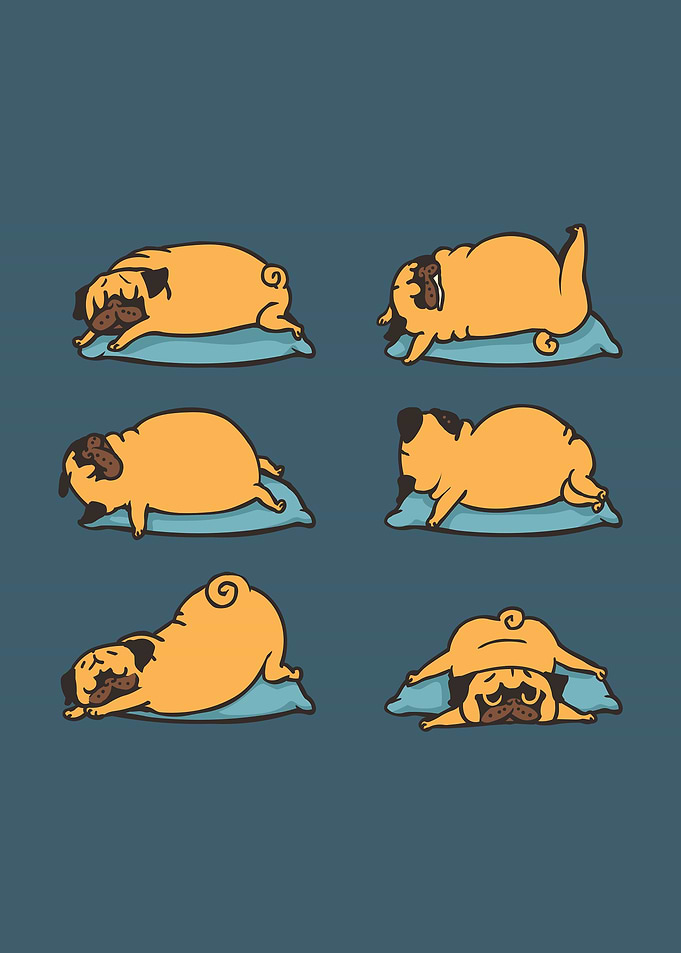 Pug Yoga for Better Sleep