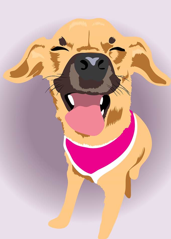 Happy Dog