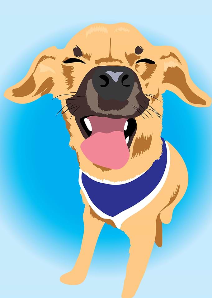 Happy Dog Blue
