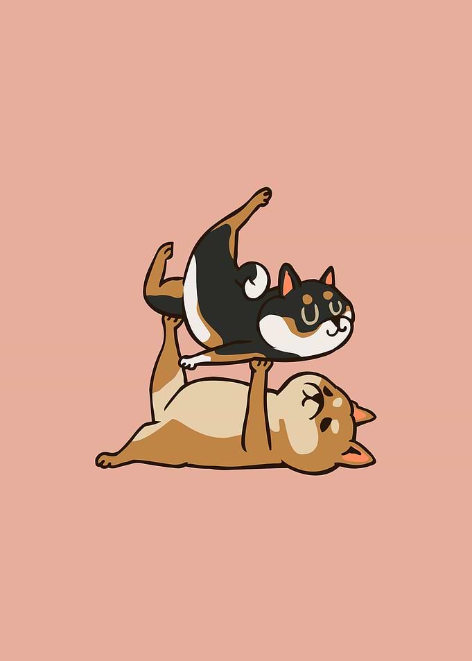 Acroyoga Shiba Inu