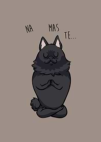 NAMASTE Schipperke