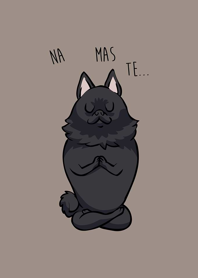 NAMASTE Schipperke