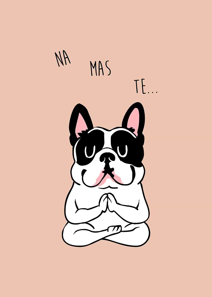 NAMASTE Frenchie