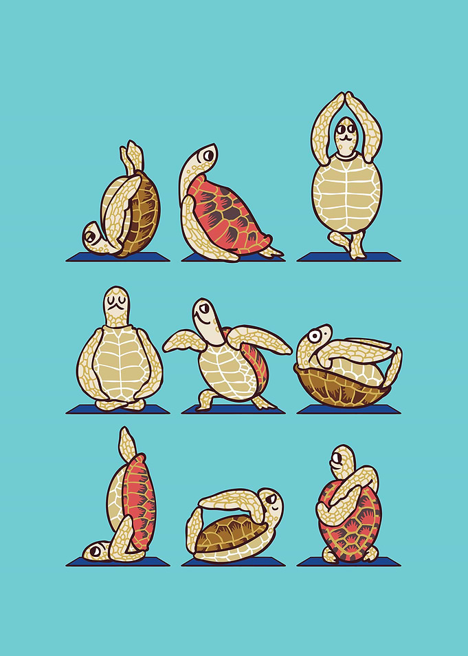 Green Sea Turtle Yoga