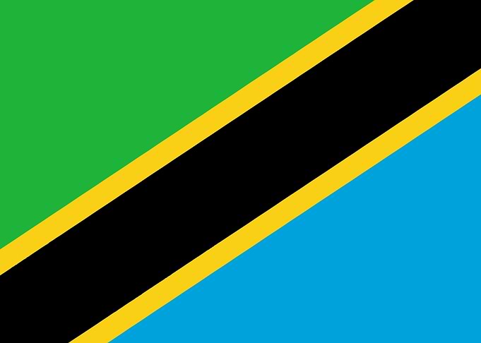 Tanzania Flag