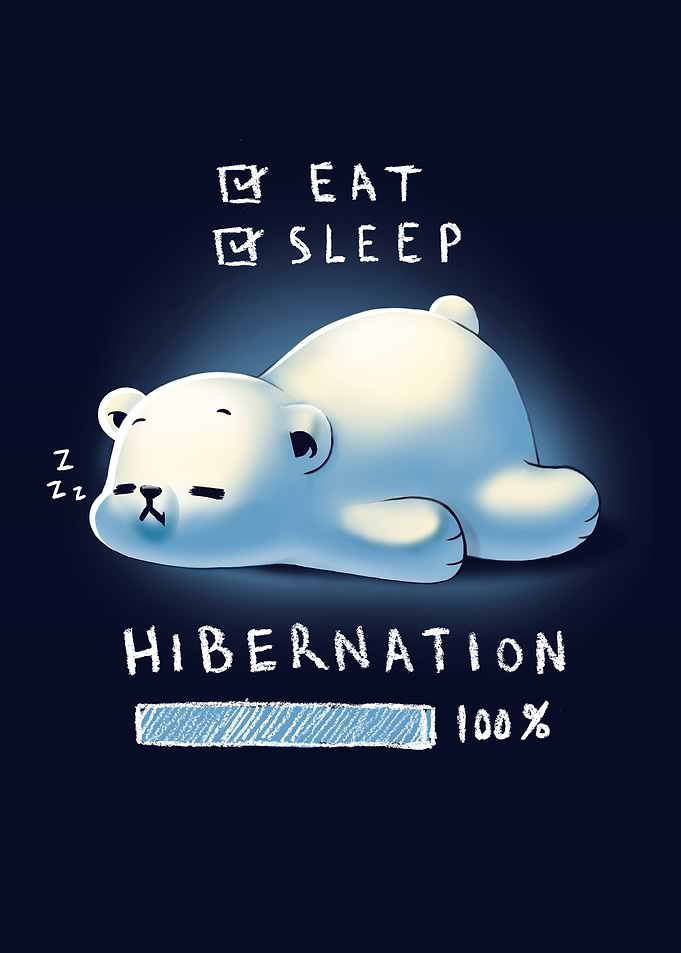 Cute Bear Hibernation