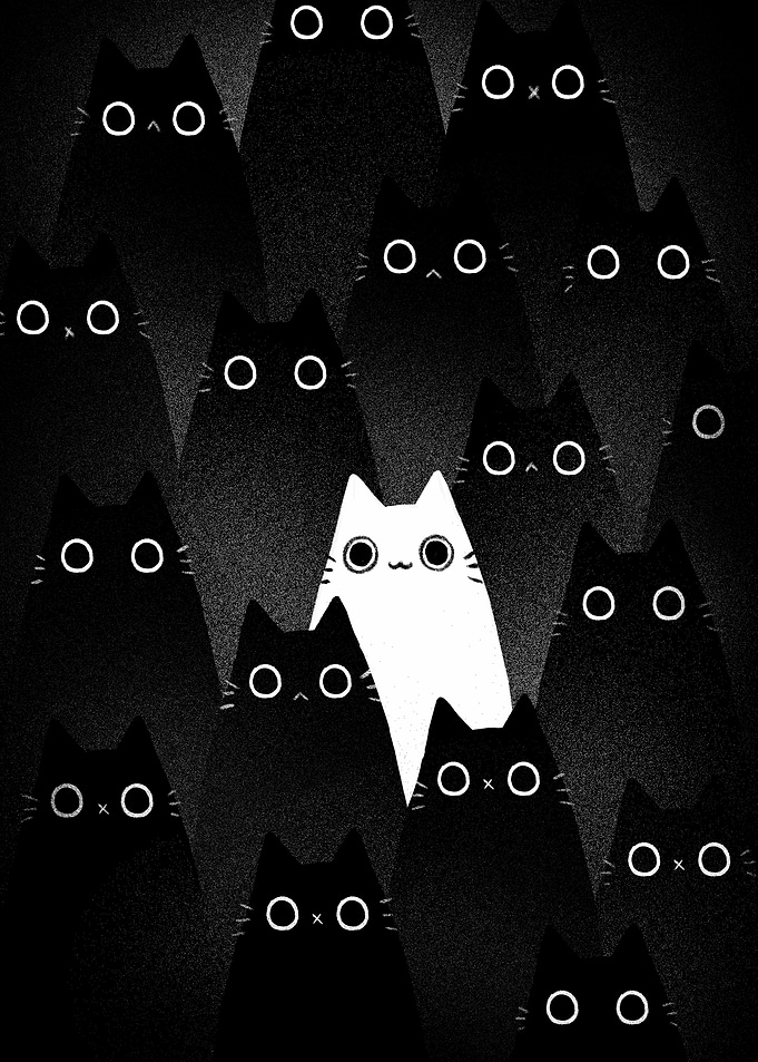 Cute Different Cat