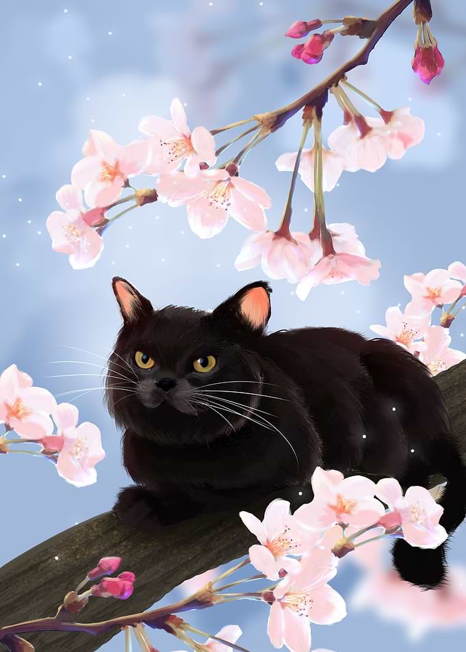 Black Cat on the Tree