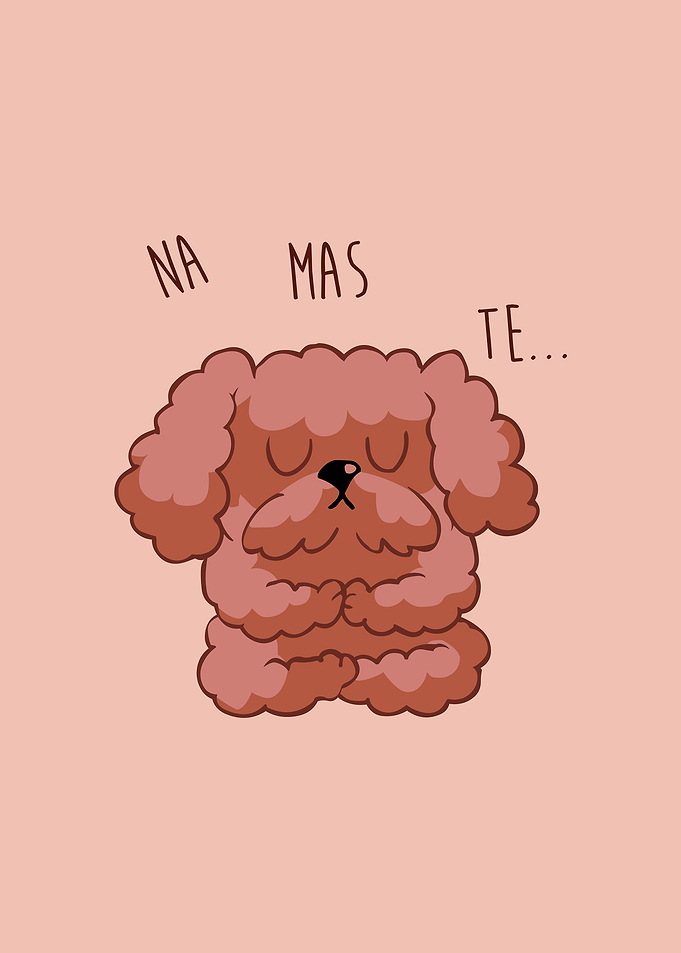 Namaste Poodle