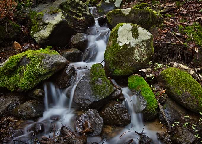 Springtime Cascade