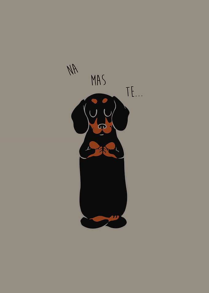 NAMASTE Dachshund