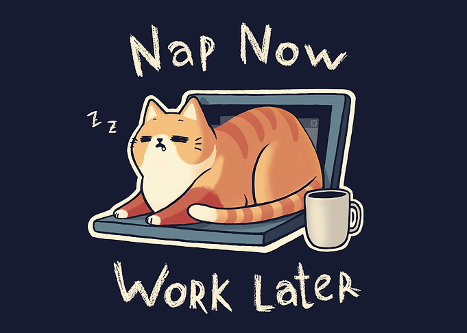 Cute Nap Cat