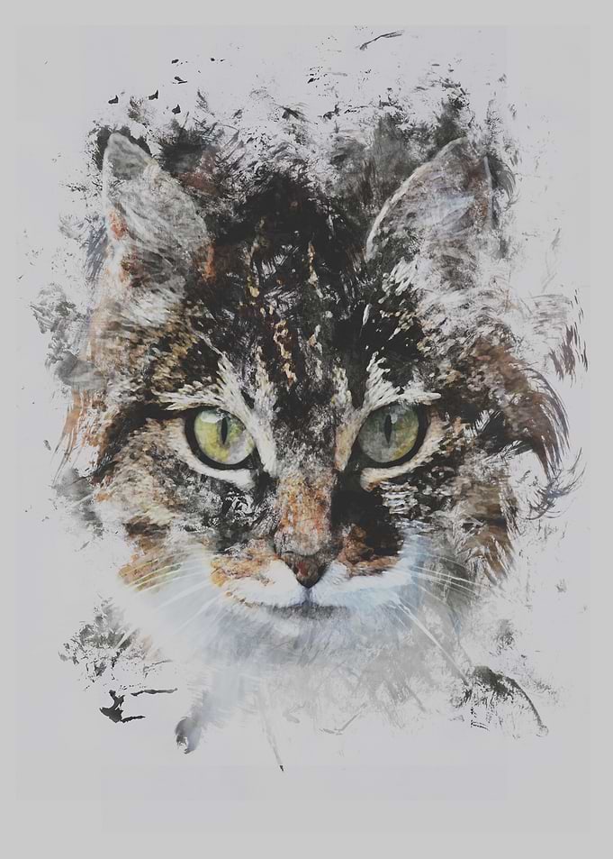 Cat Ink