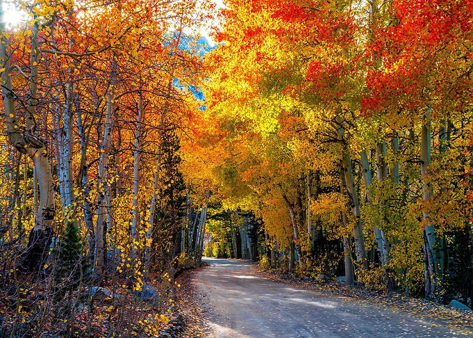 Beautiful nature view