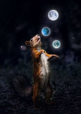 Juggling squirrel