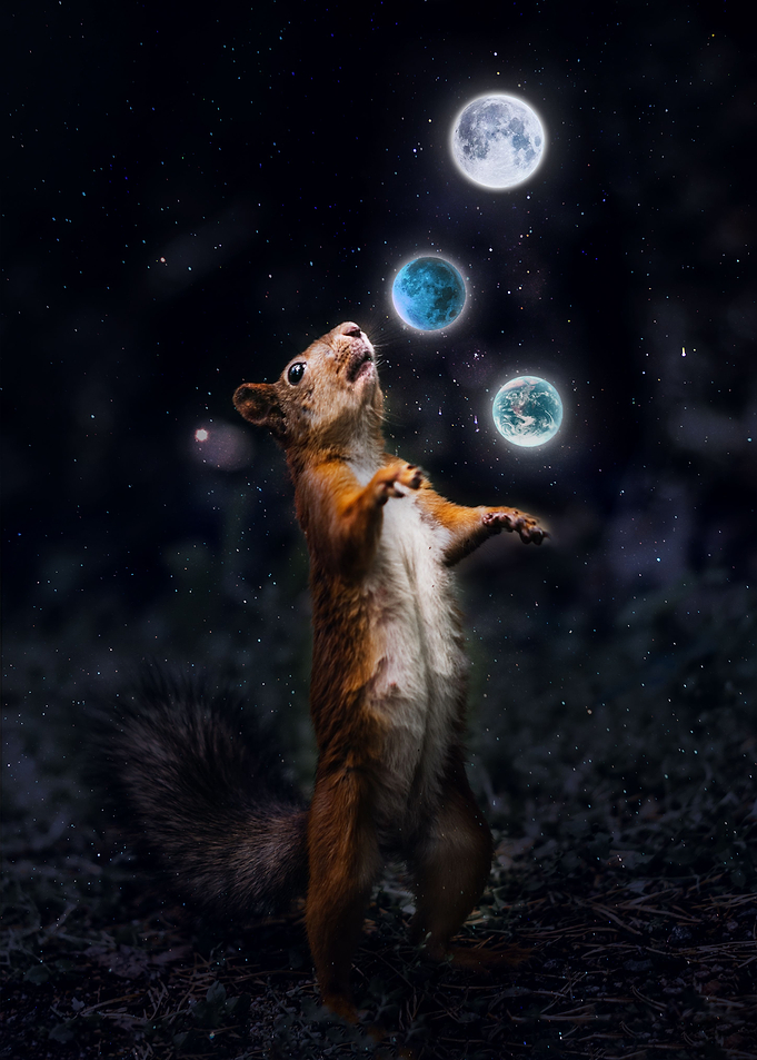 Juggling squirrel