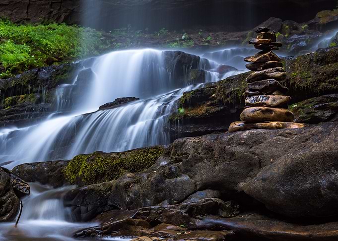 Forest Waterfalls