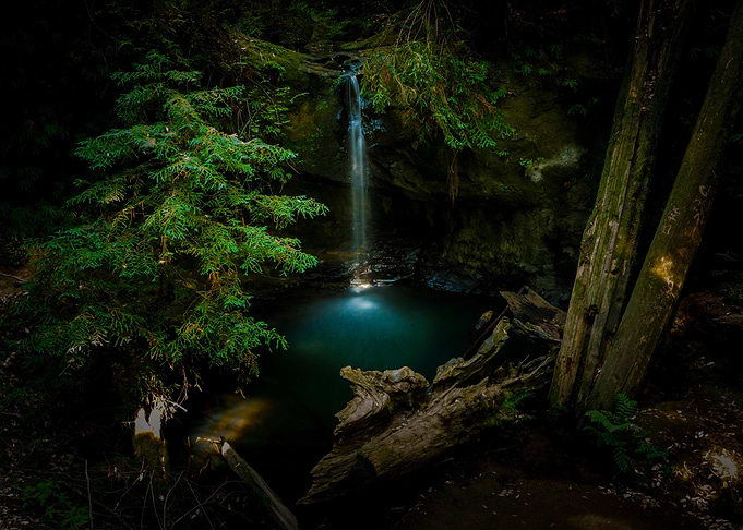 Forest Waterfalls