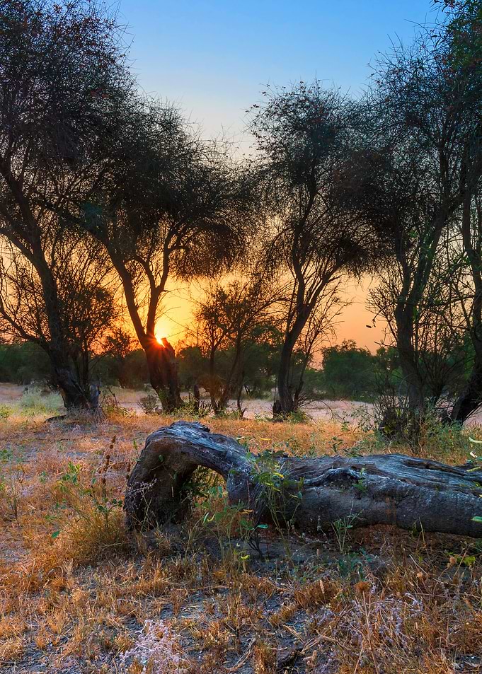 Sunrise