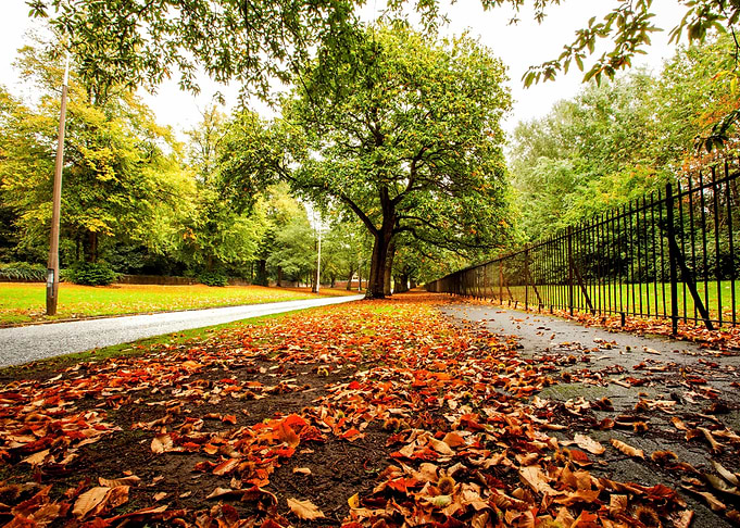 Park View