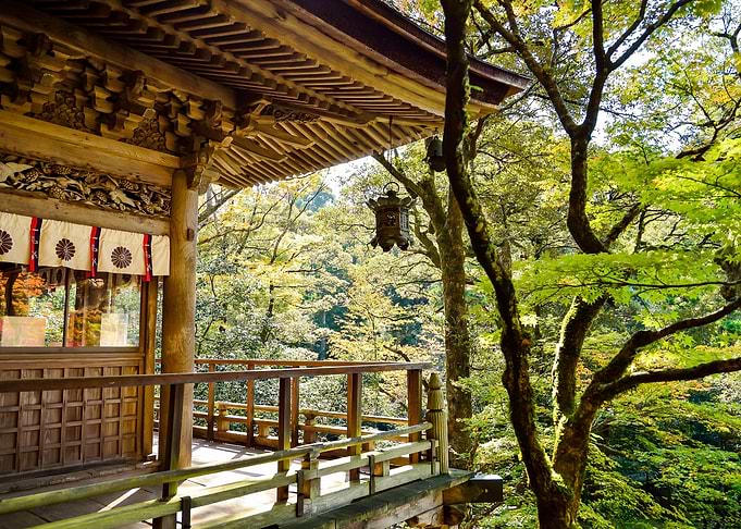 House in the Nature