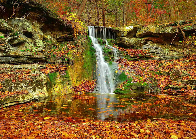 Forest Waterfall