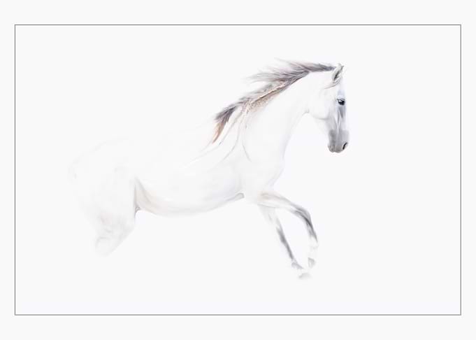 Horse like a Painting