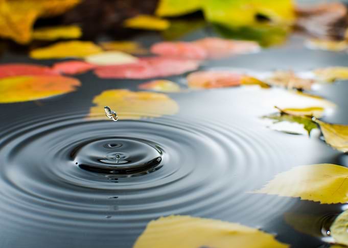 Beautiful nature view