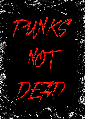 Punk not Dead