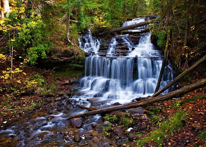 Forest Waterfall