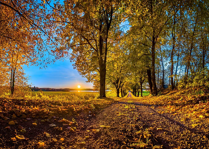 Beautiful nature view